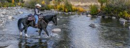 https://www.flickr.com/photos/yellowstonenps/33294412078/